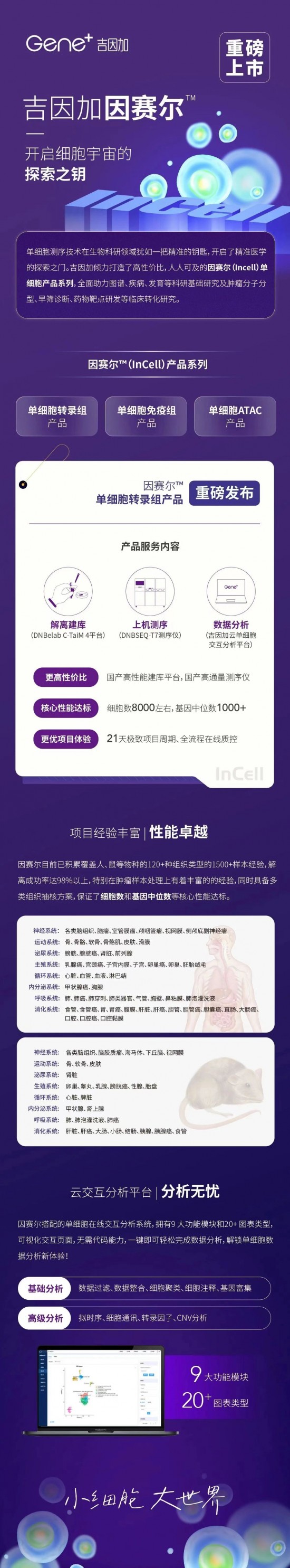 云图片